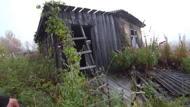 Валай Вижай поездка в старые деревни Пермского края. смотреть онлайн