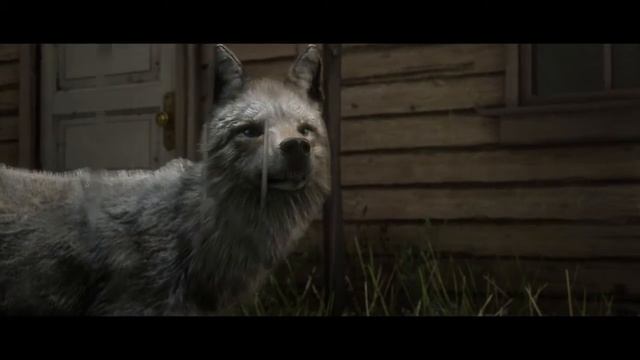 That's one disney looking coyote смотреть онлайн