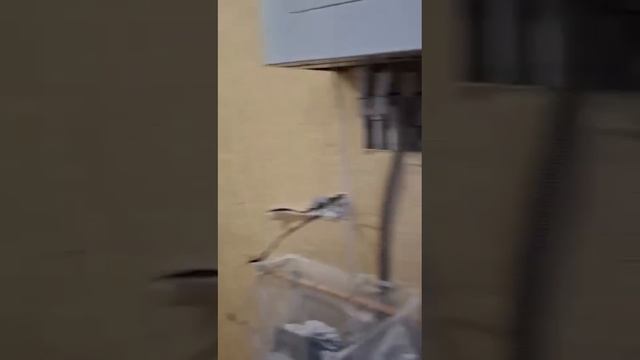 Полная замена электропроводки на кухне. смотреть онлайн