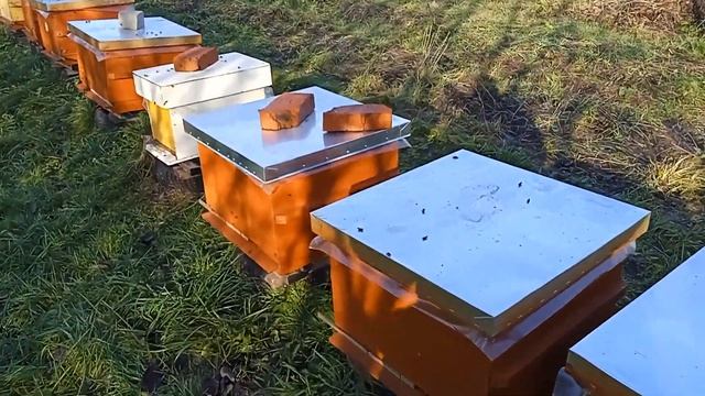 Это должно было случиться. смотреть онлайн