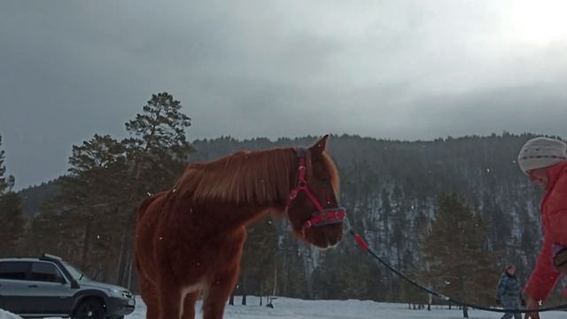 Хрусталь и мяч(1) смотреть онлайн