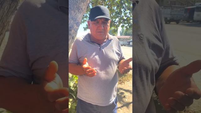 #доставка Ош смотреть онлайн