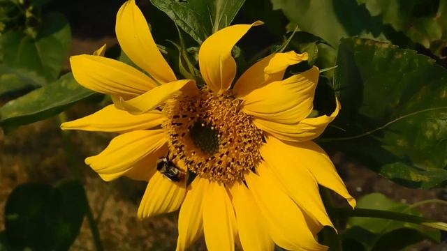 Врач принял неожиданные роды в метель А когда бродяжка отдала ему ключ смотреть онлайн