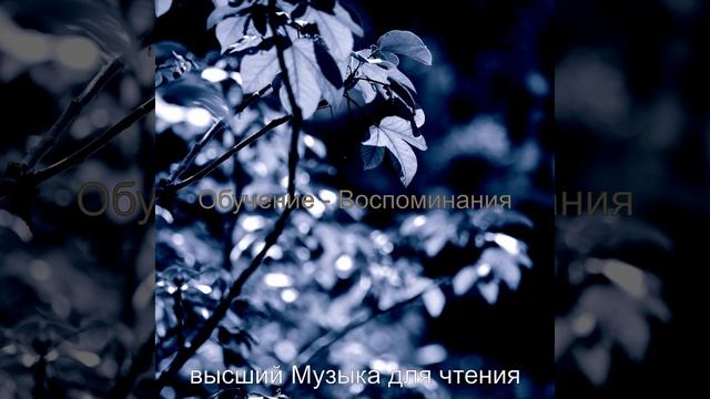 Атмосфера (Книги) смотреть онлайн