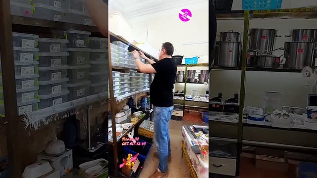 Летние новинки от 02.06.23.