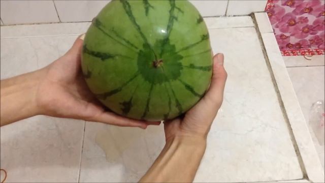 600 x rubber band+watermelon смотреть онлайн