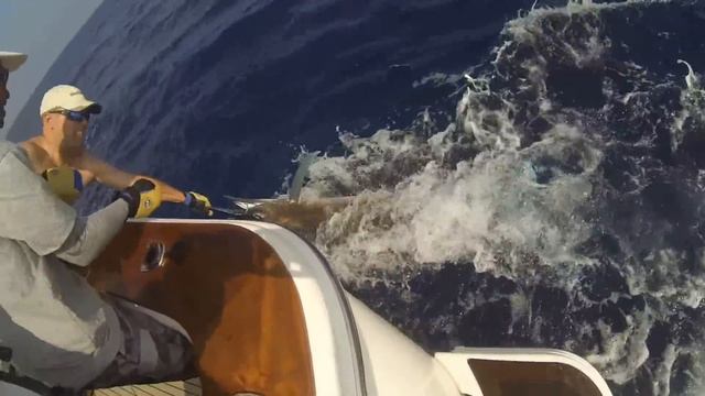 Andaman Islands with Team Mari Timo Marlin Fishing 2013 смотреть онлайн