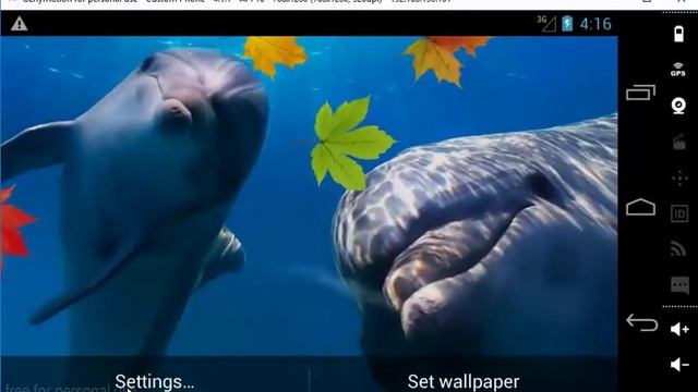 Dolphin 3D Live Wallpaper