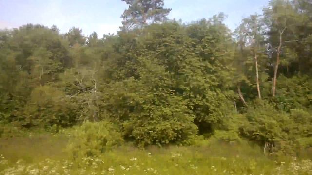 Пригород Загорска