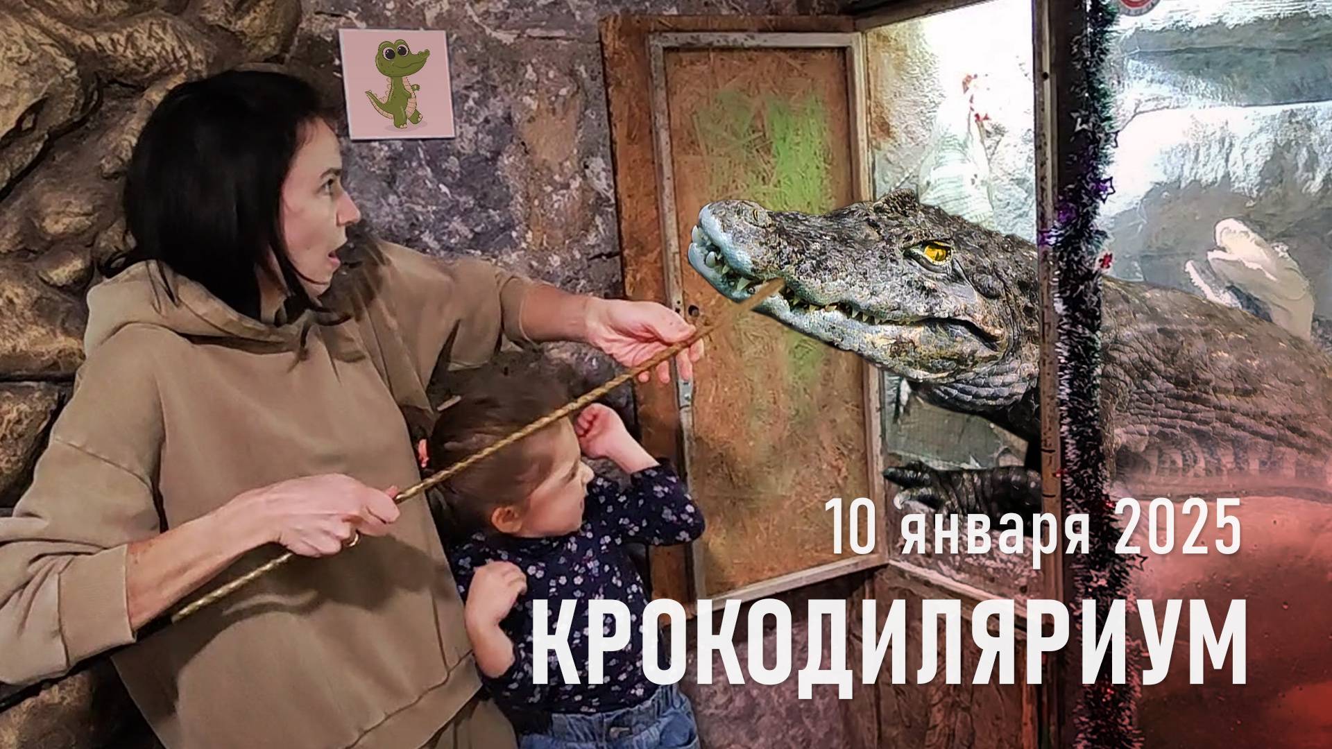 Крокодиляриум / Январь, 2025 г.