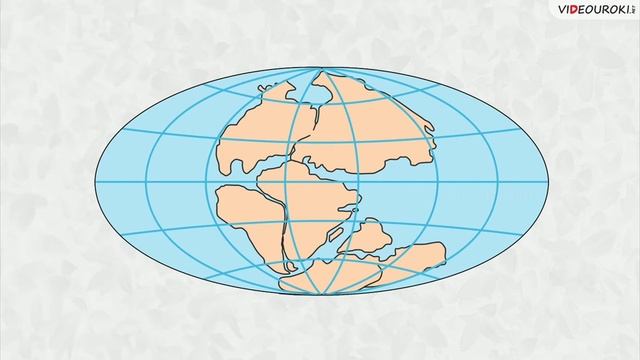 Окаменелые растения. смотреть онлайн