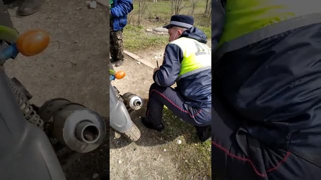началась весна медведи вышли из спячки, мусора смотреть онлайн