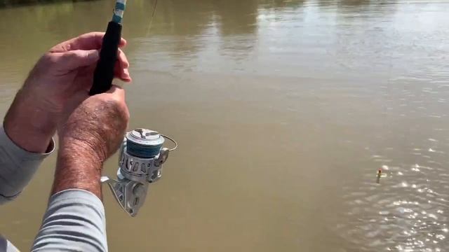200 Pound River Monster Alligator Gar смотреть онлайн