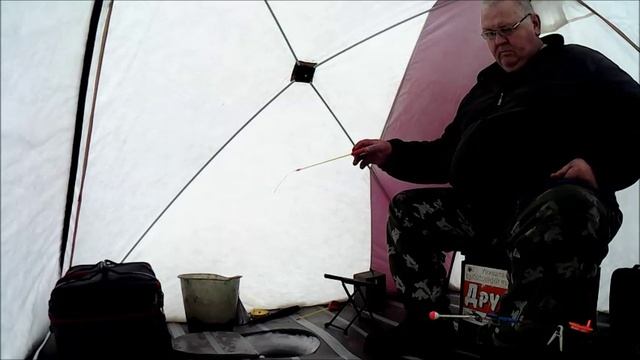 Опять Кокса и опять с рыбой! 18.01.2025г.