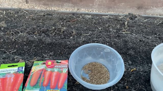 Если МОРКОВЬ ПЛОХО ВСХОДИТ, примените 3 важных правила! смотреть онлайн