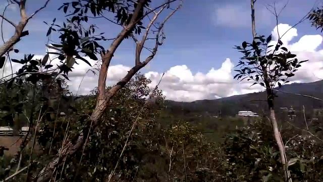 Ella vegetation in 98 acres resort - Doctor Jeevani Hasantha смотреть онлайн