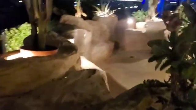 moře ala Carte super restaurace noční pláž a hotelový areál dovca Egypt Hurghada vlog 3 смотреть онлайн