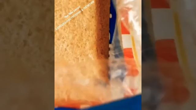Сэндвич с тунцом.👩🍳 #shorts #короткиевидео #сэндвич смотреть онлайн