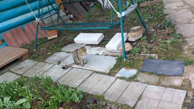 23 апреля. Хроника смотреть онлайн