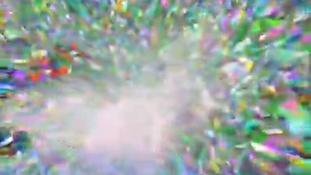 Quantum evolution of geometry in loop Quantum Gravity смотреть онлайн