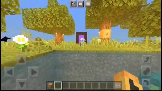 TOP 5 SHADERS PARA MINECRAFT 1.16.40 PARA DELANTE PARA GAMA BAJA Y MEDIA смотреть онлайн
