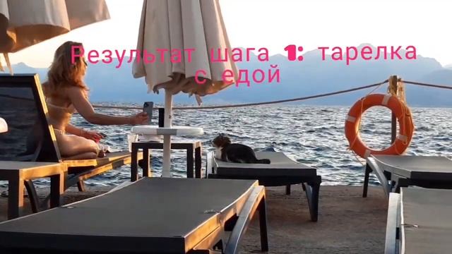 История про умную кошку в Анталии смотреть онлайн