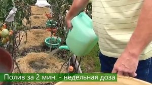 С Новым годом! Подводим итоги 2021.