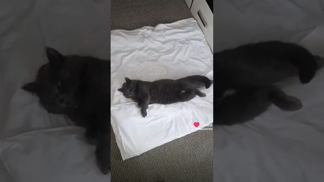 Жизнь бумеранг смотреть онлайн