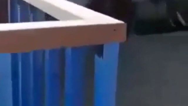 Это не даргинская песня но под гармошку. Классная композиция про жизнь. Слушать всем! Не пропустите смотреть онлайн