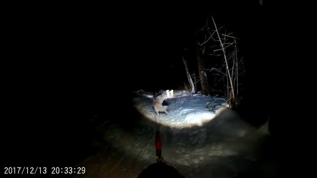 Нита, Люк, Персей 13.12.2017 смотреть онлайн