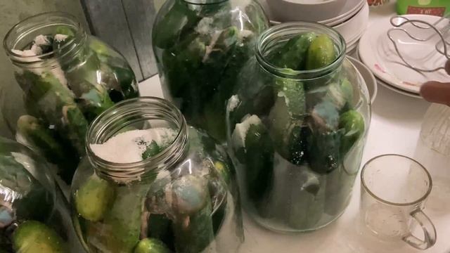 МАРИНОВАННЫЕ ОГУРЧИКИ / Хрустящие / Болгарские / Вкусно и Просто! смотреть онлайн