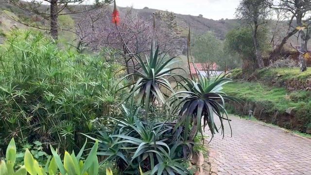 I went to volunteer at a detox & yoga retreat center, here's what I experienced | Portugal Vlog смотреть онлайн