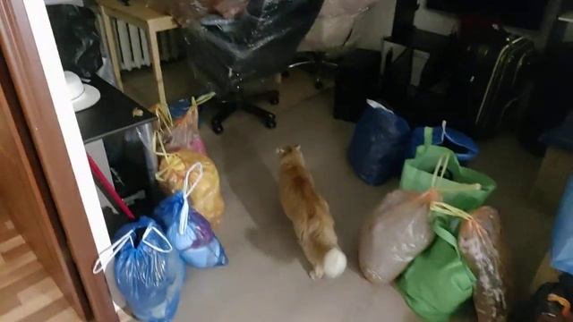 Переезд смотреть онлайн