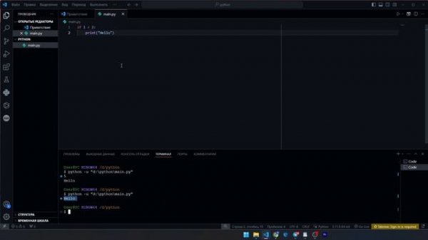 #2 УРОК PYTHON | НАПИСАНИЕ ПРОГРАММ: ВВЕДЕНИЕ