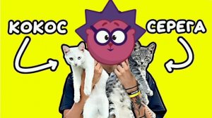 Ёжик - Песня Про Котят (Ai Cover)