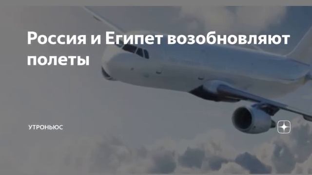 Россия возобновляет авиасообщение с курортами Египта смотреть онлайн