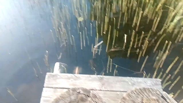 влог с задейшино 3