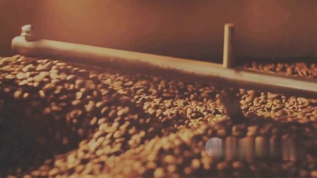 Robusta Revolution : The Bean that Could Save Coffee смотреть онлайн
