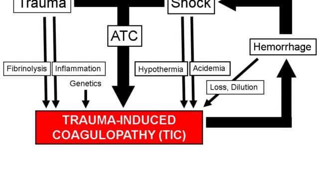 Coagulopathy in trauma (London 2012)
