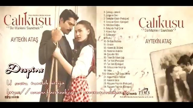 02. Aytekin Aytaş - Gölgenin Sesi смотреть онлайн