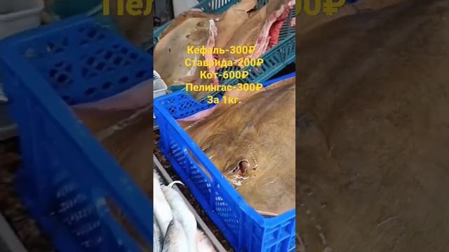 #абхазия . Сухумский рынок. Рыбка на любой вкус👍👍 смотреть онлайн