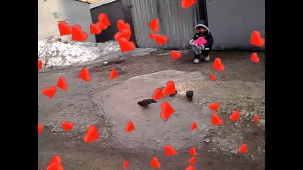 ШАЛАРЕ_Серия №1_Давай ПОЗНАКОМИМСЯ?