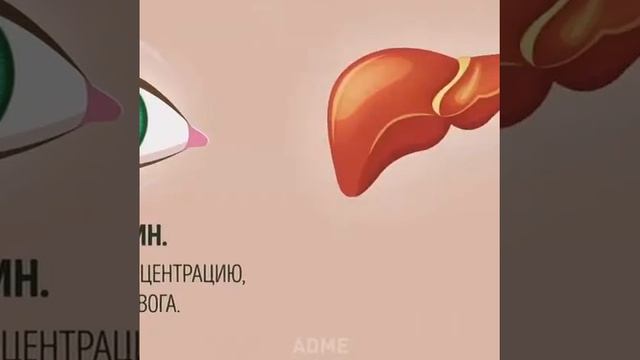 Что происходит в организме , когда вы пьёте энергетик . смотреть онлайн