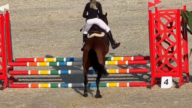 30.09.2023 LITTLE CHACCO BLUE Маршрут 65 см 🏆🥇🏆 смотреть онлайн
