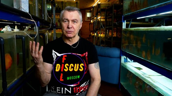 #ДИСКУСЫ# НЕОБХОДИМЫЕ ЗНАНИЯ ДЛЯ ВЗРАЩИВАНИЯ ЗДОРОВОГО ДИСКУСА!