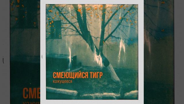 Танец или жизнь водомерки (Зачем я живу?) смотреть онлайн