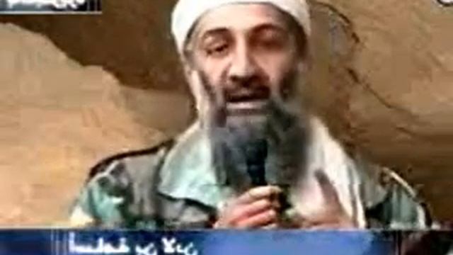 I Will Survive - Osama Bin Laden