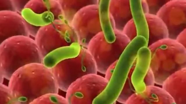 Китайский врач: Выпей 100 гр. утром и организм как Новый. 1 раз попробовал - Удивился! смотреть онлайн