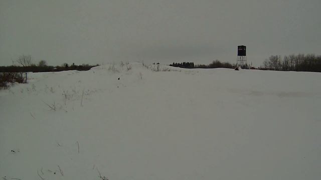 Петлями на койота смотреть онлайн