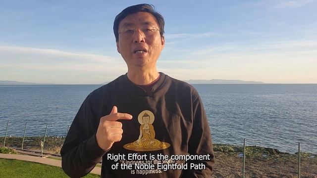 Buddhism Right Effort by Chade-Meng Tan #buddhism #buddhism101 #nobleeightfoldpath смотреть онлайн